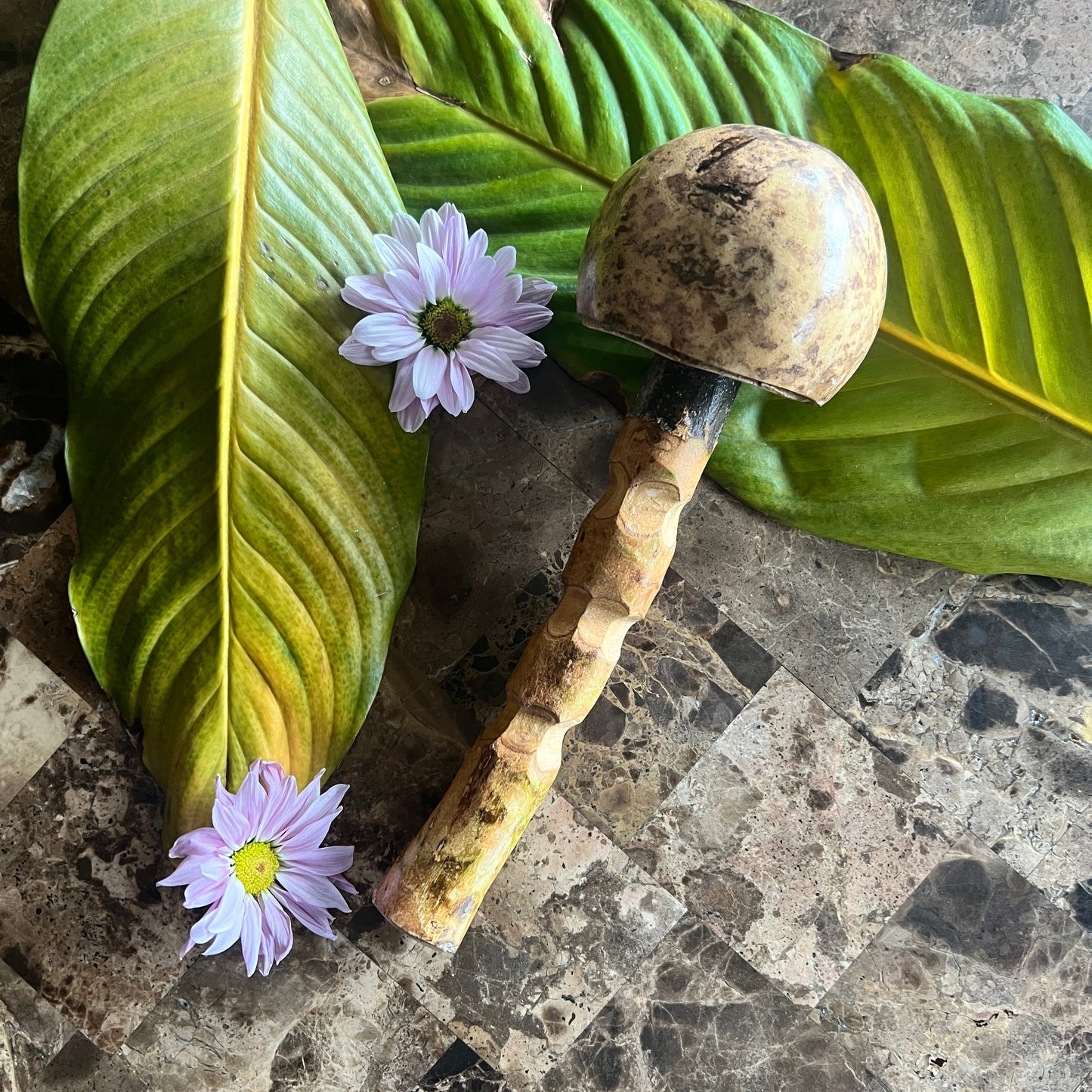 mushWOMB rattles -- handcarved wood with seeds inside