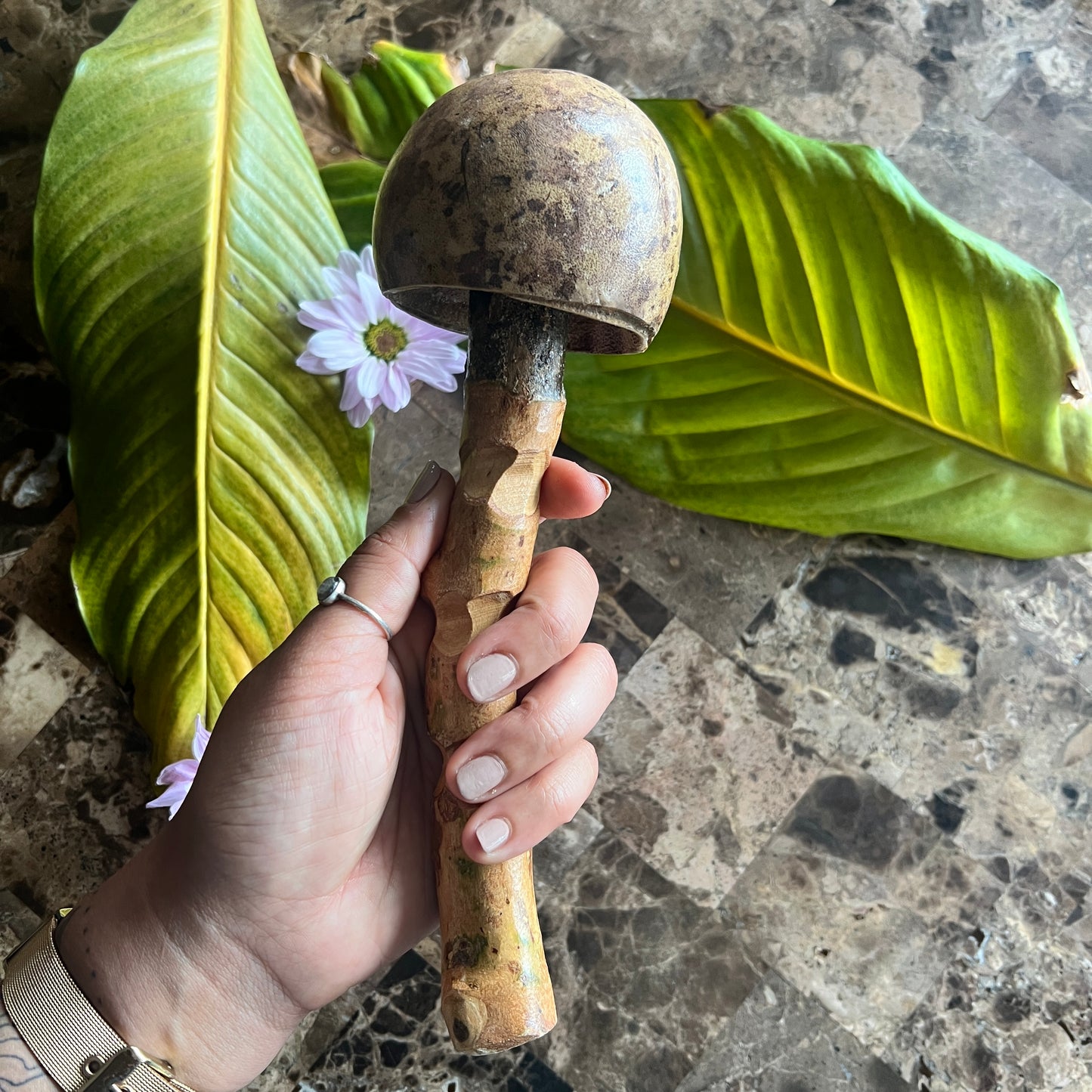 mushWOMB rattles -- handcarved wood with seeds inside