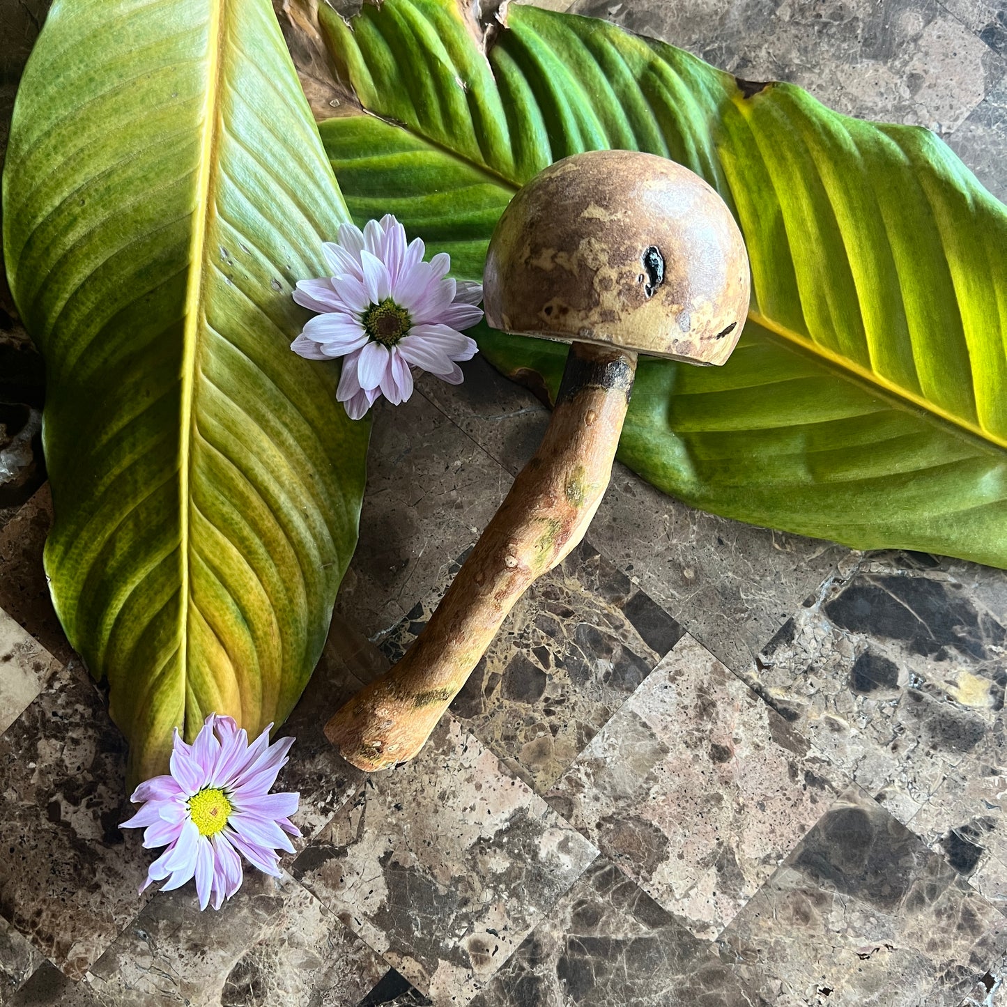mushWOMB rattles -- handcarved wood with seeds inside
