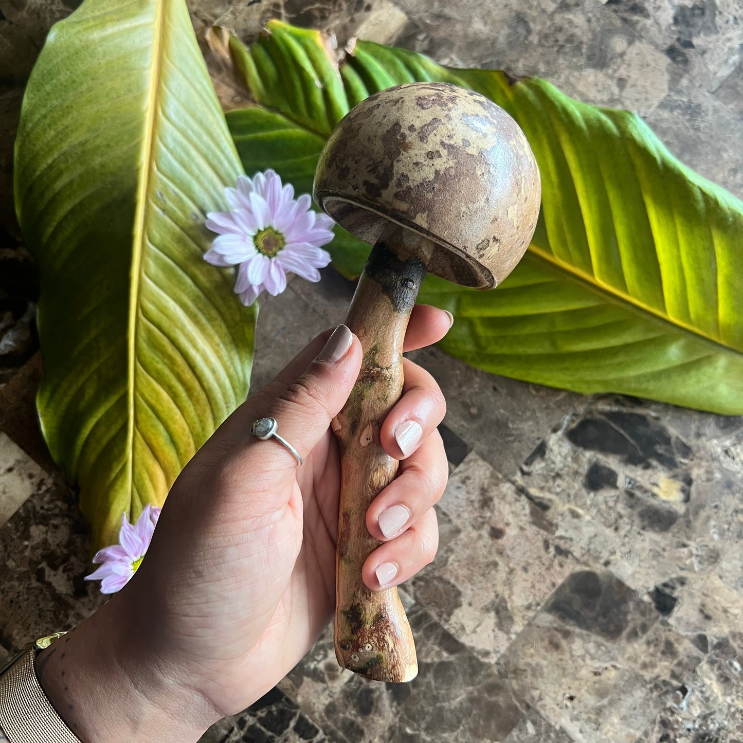 mushWOMB rattles -- handcarved wood with seeds inside