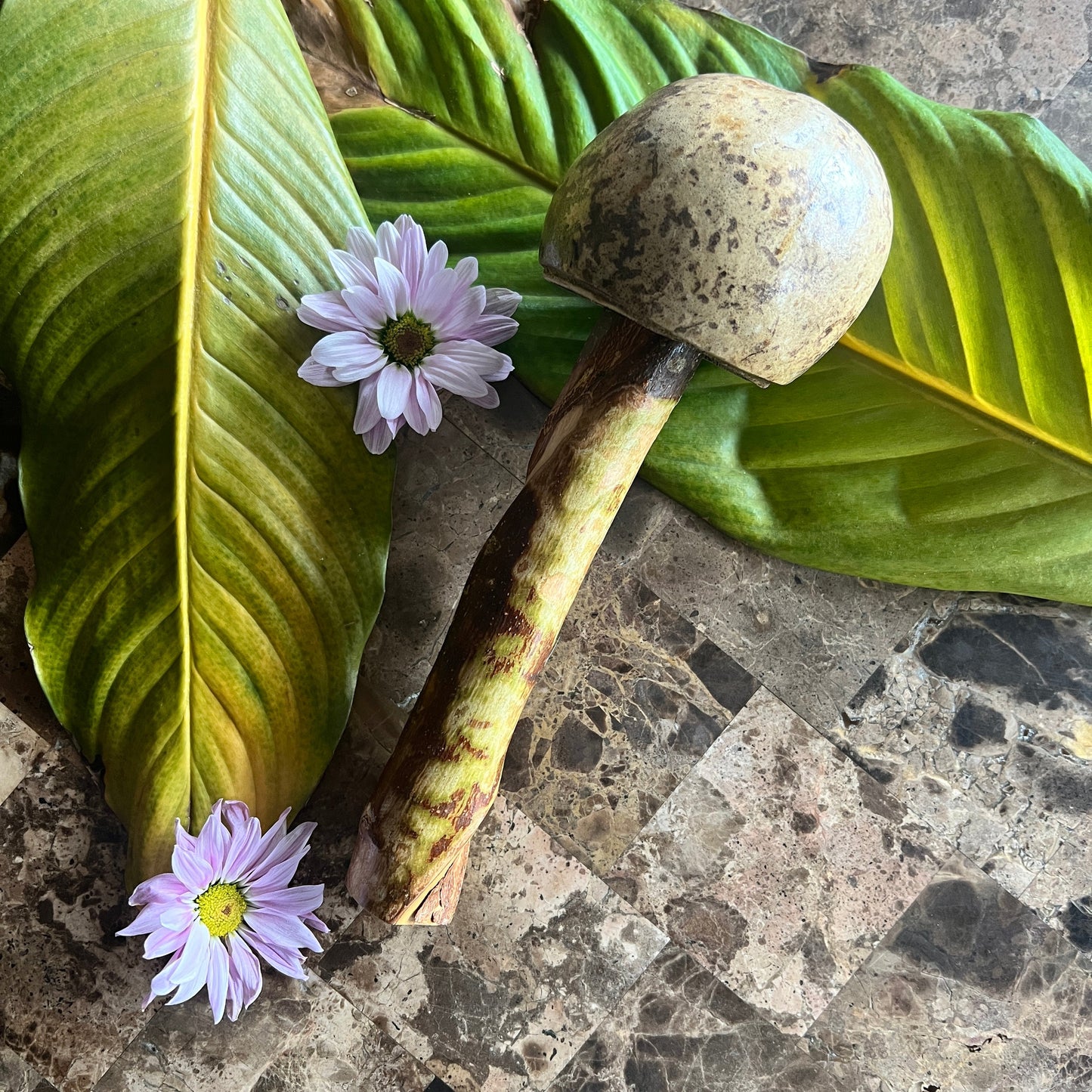 mushWOMB rattles -- handcarved wood with seeds inside