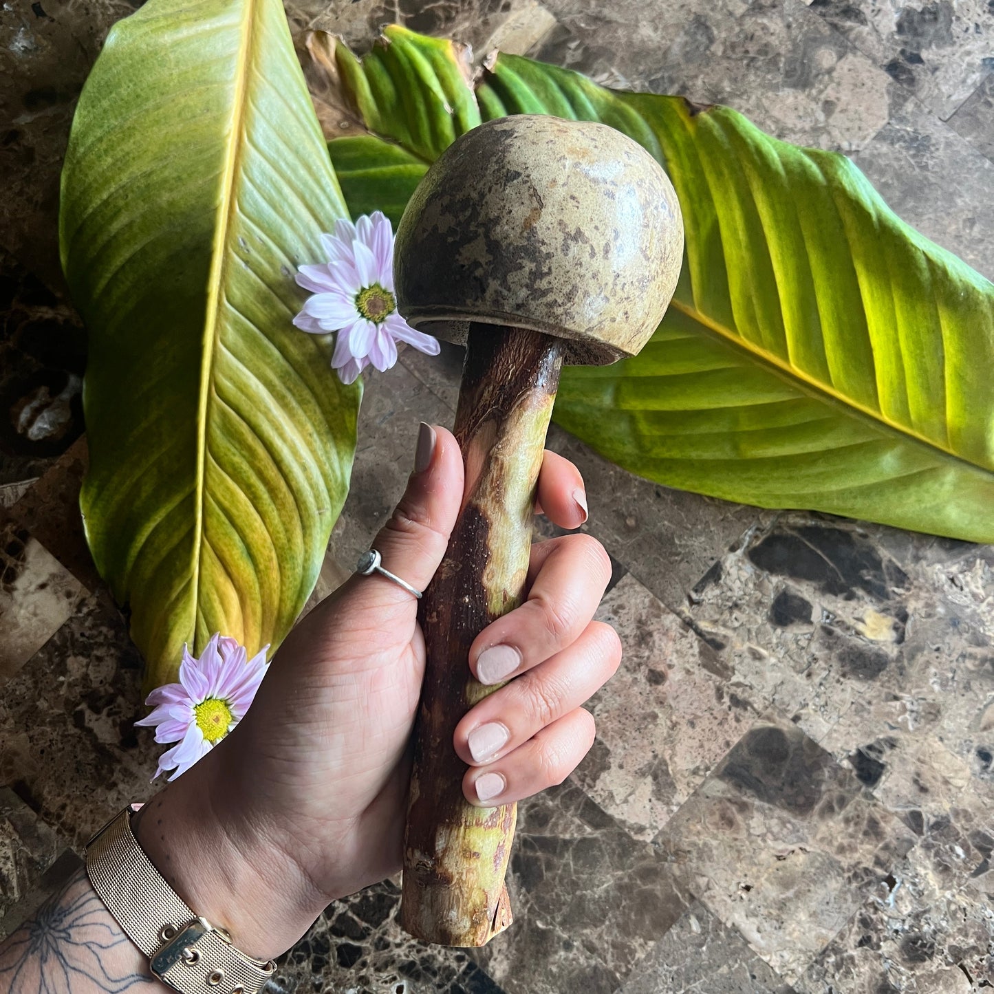 mushWOMB rattles -- handcarved wood with seeds inside