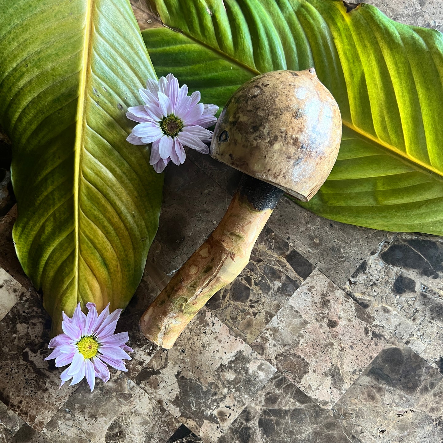 mushWOMB rattles -- handcarved wood with seeds inside