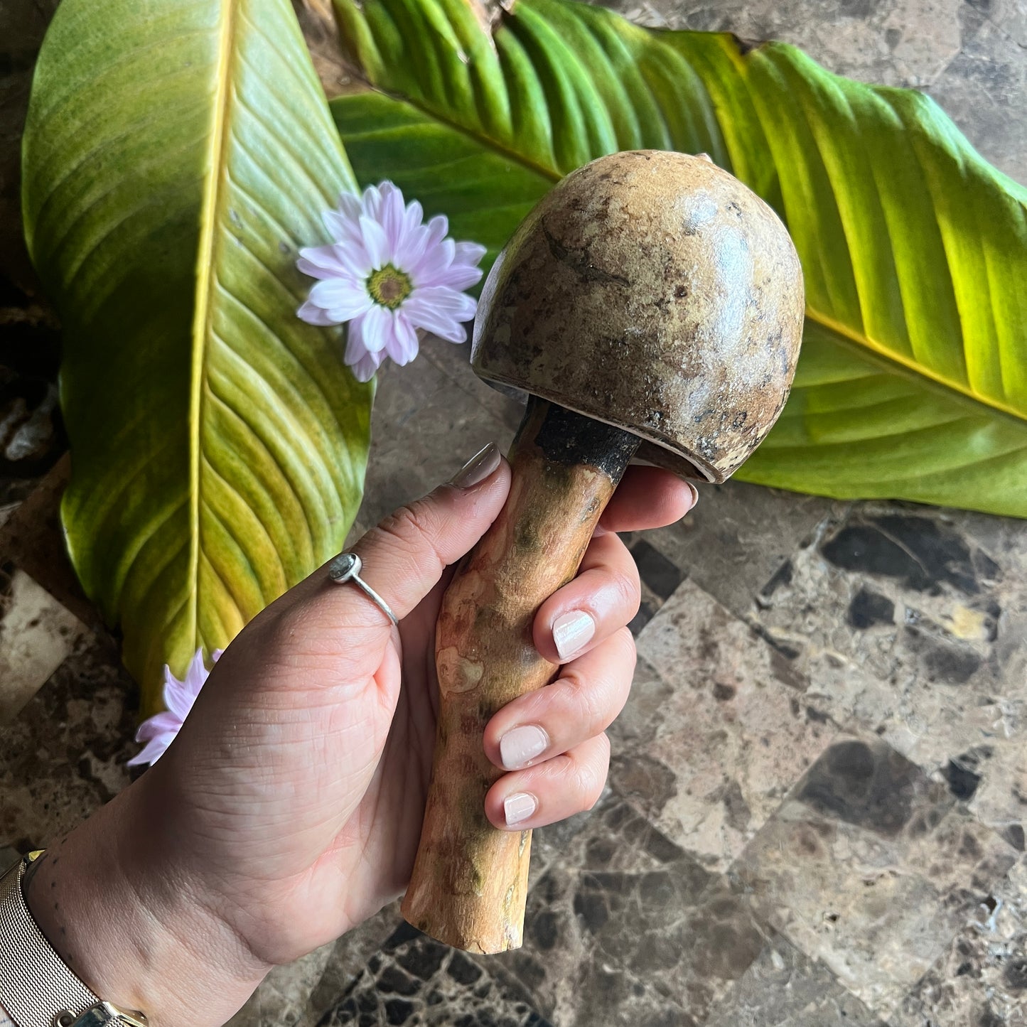 mushWOMB rattles -- handcarved wood with seeds inside