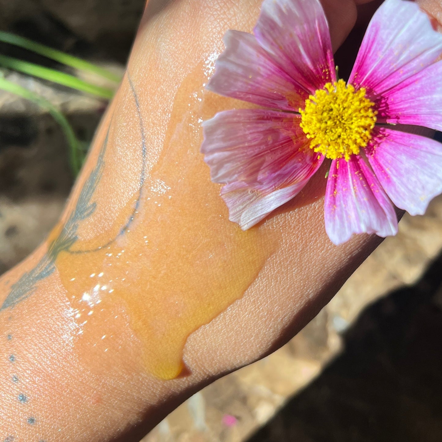 Hand holding a pink flower with a yellow center against a natural background