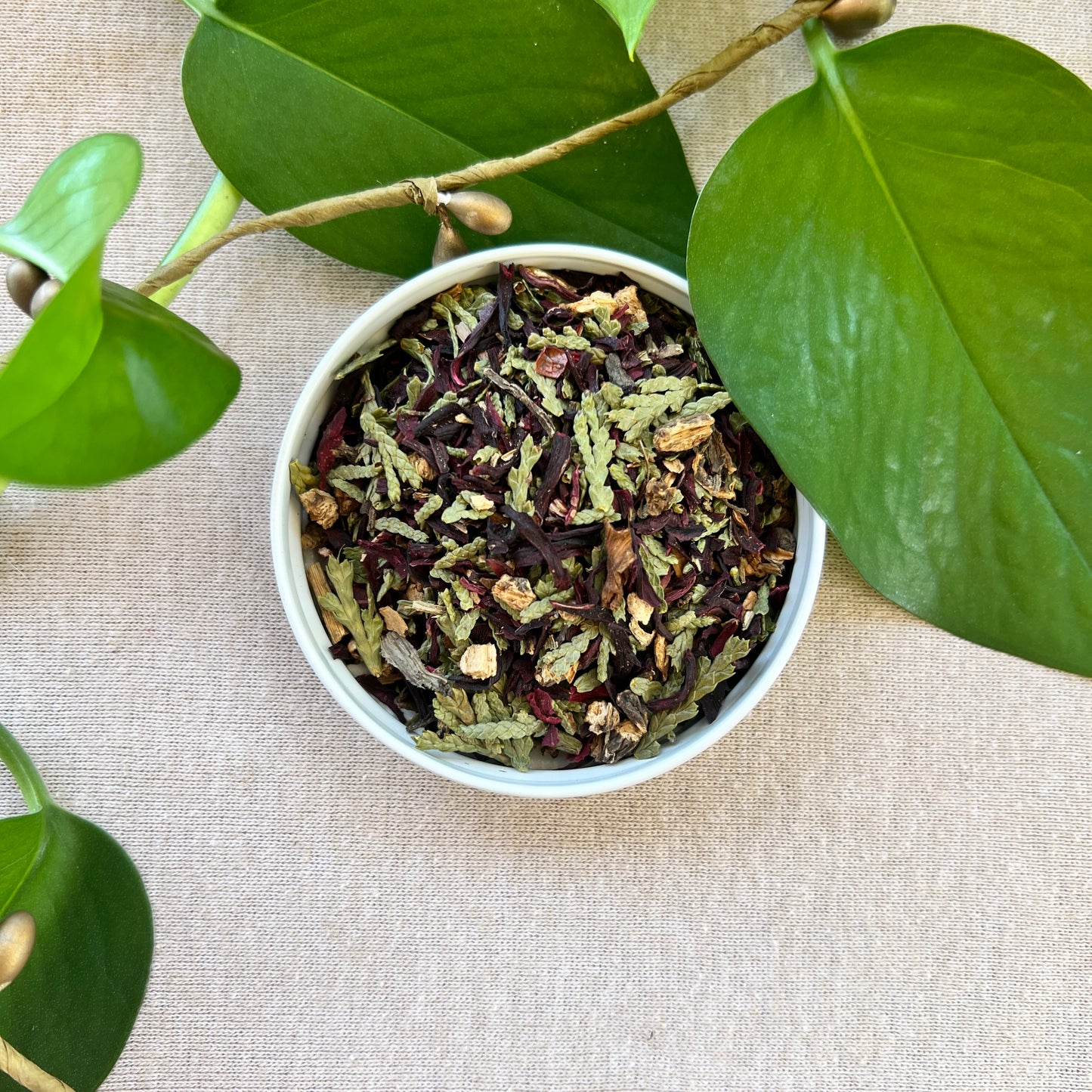 Blood Moon -- Emmenagogue Tea (serving Angelica, Cedar and Hibiscus)
