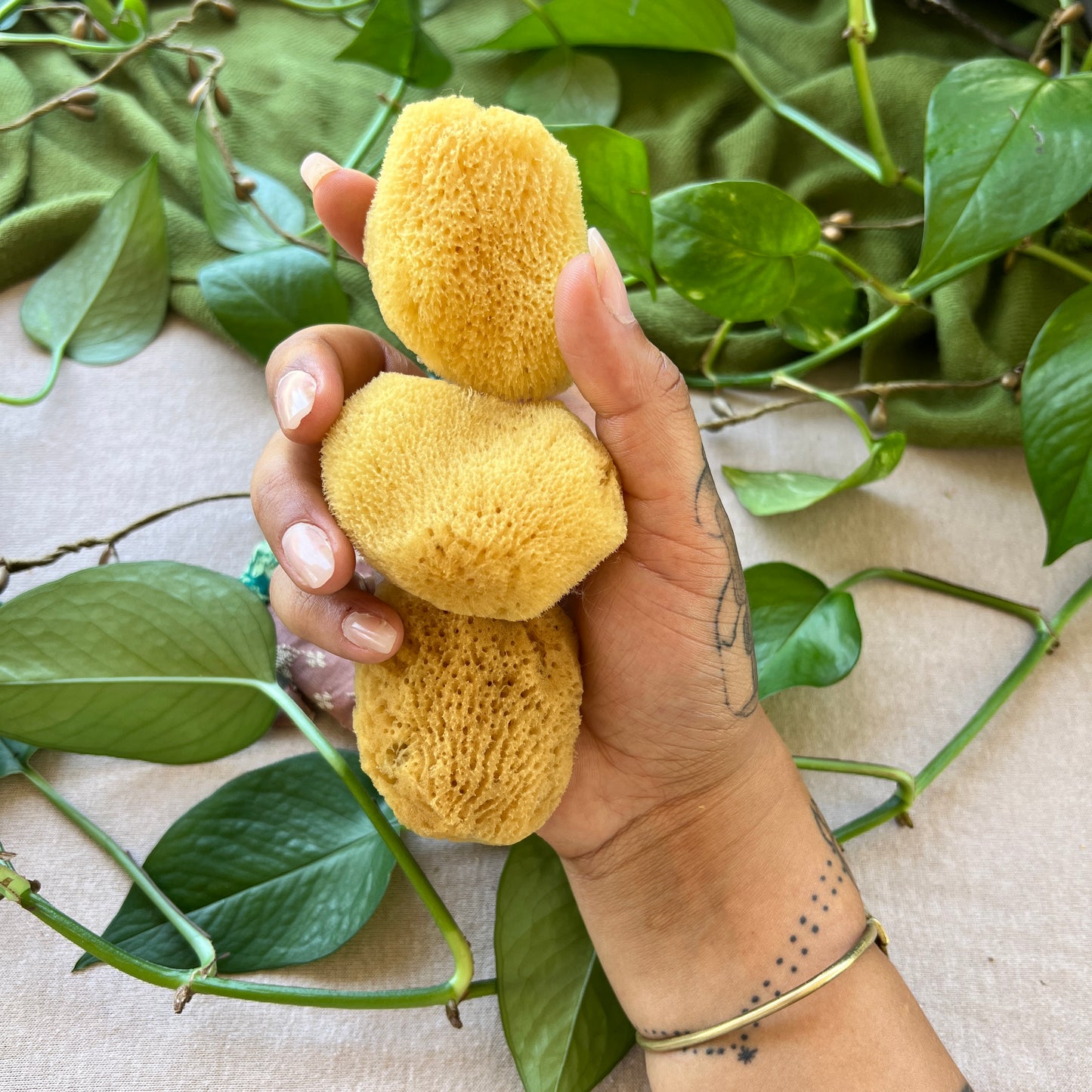 Menstrual Sea Sponges