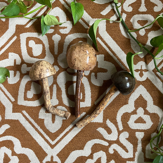 mushWOMB rattles -- handcarved wood with seeds inside