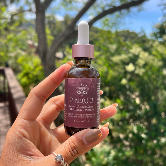 Hand holding a bottle of 'Plant(t) B' tincture with a blurred natural background