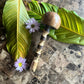 mushWOMB rattles -- handcarved wood with seeds inside