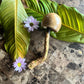 mushWOMB rattles -- handcarved wood with seeds inside