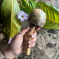 mushWOMB rattles -- handcarved wood with seeds inside