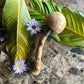 mushWOMB rattles -- handcarved wood with seeds inside