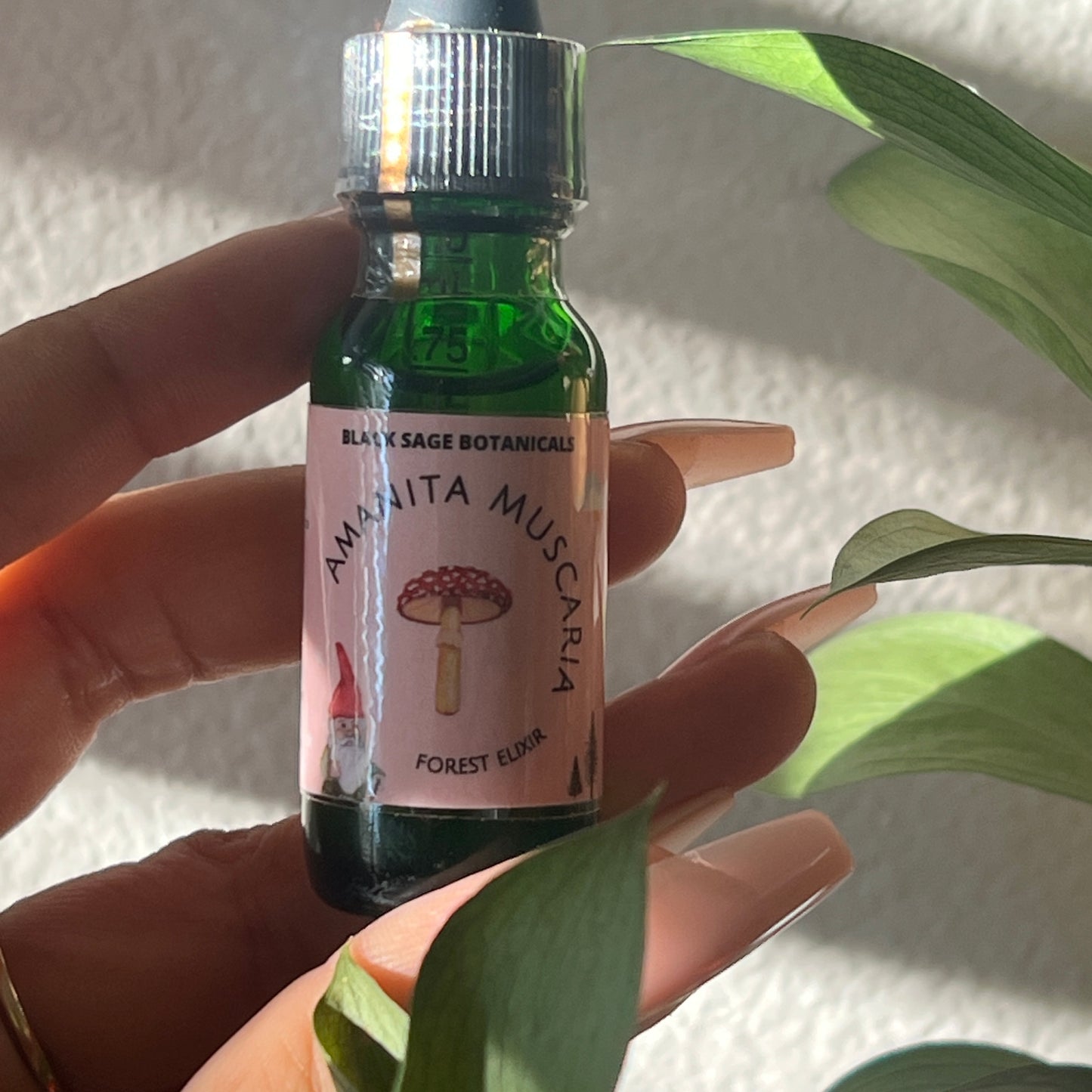 Amanita Muscaria Mushroom Elixir & Candle