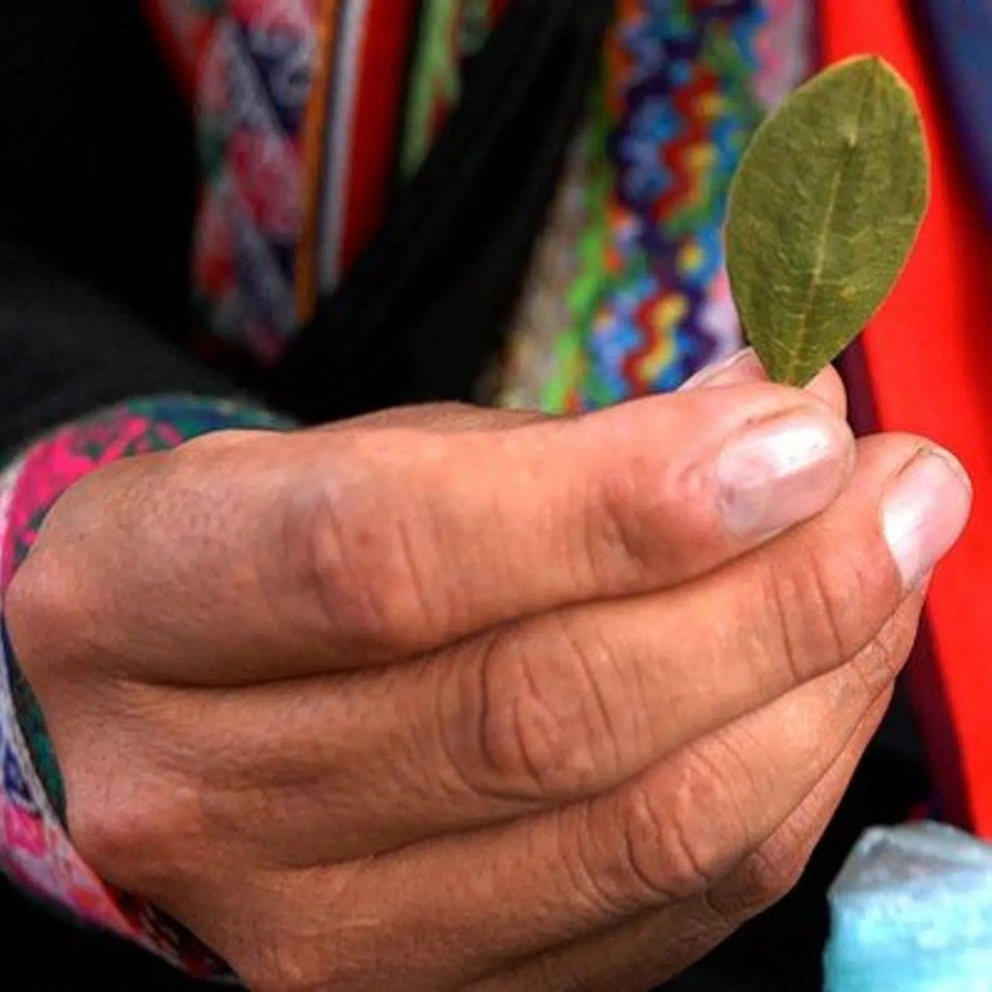 Mambecita :: Mama Leaf Energizing Social Powder (Limited Batch)